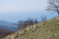 Monte cucuzzo  Aprile 2018 (27)